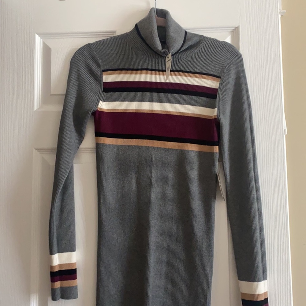 Express turtleneck sweater dress